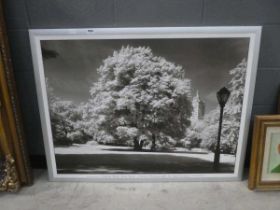 Photographic print, Central Park New York