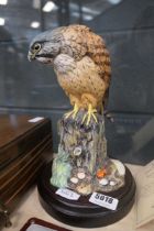 Royal Doulton kestrel