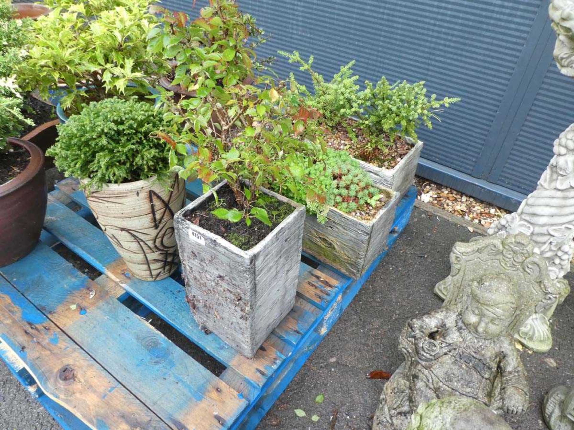 Two troughs and one square pot with plants and a tall round pot with plant