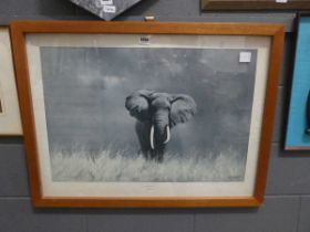 Framed and glazed picture of wise old elephant