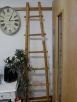 +VAT Cane ladder rack