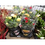 Tray containing potted roses