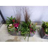 Pair of pre planted patio pots containing mixed plants