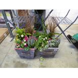 Pair of pre planted patio pots containing mixed plants