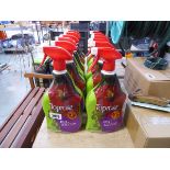 12 bottles of Toprose bug killer