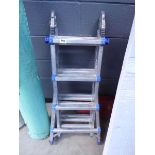 Multi-position ladder
