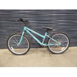 Arden turquoise bike