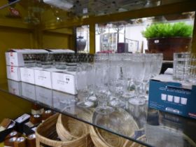 +VAT Shelf of various drinking glasses