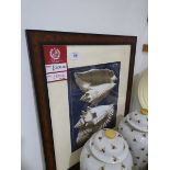 +VAT Framed and glazed print - conch shells