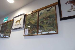 +VAT Three pairs of framed and glazed prints, animals and birds