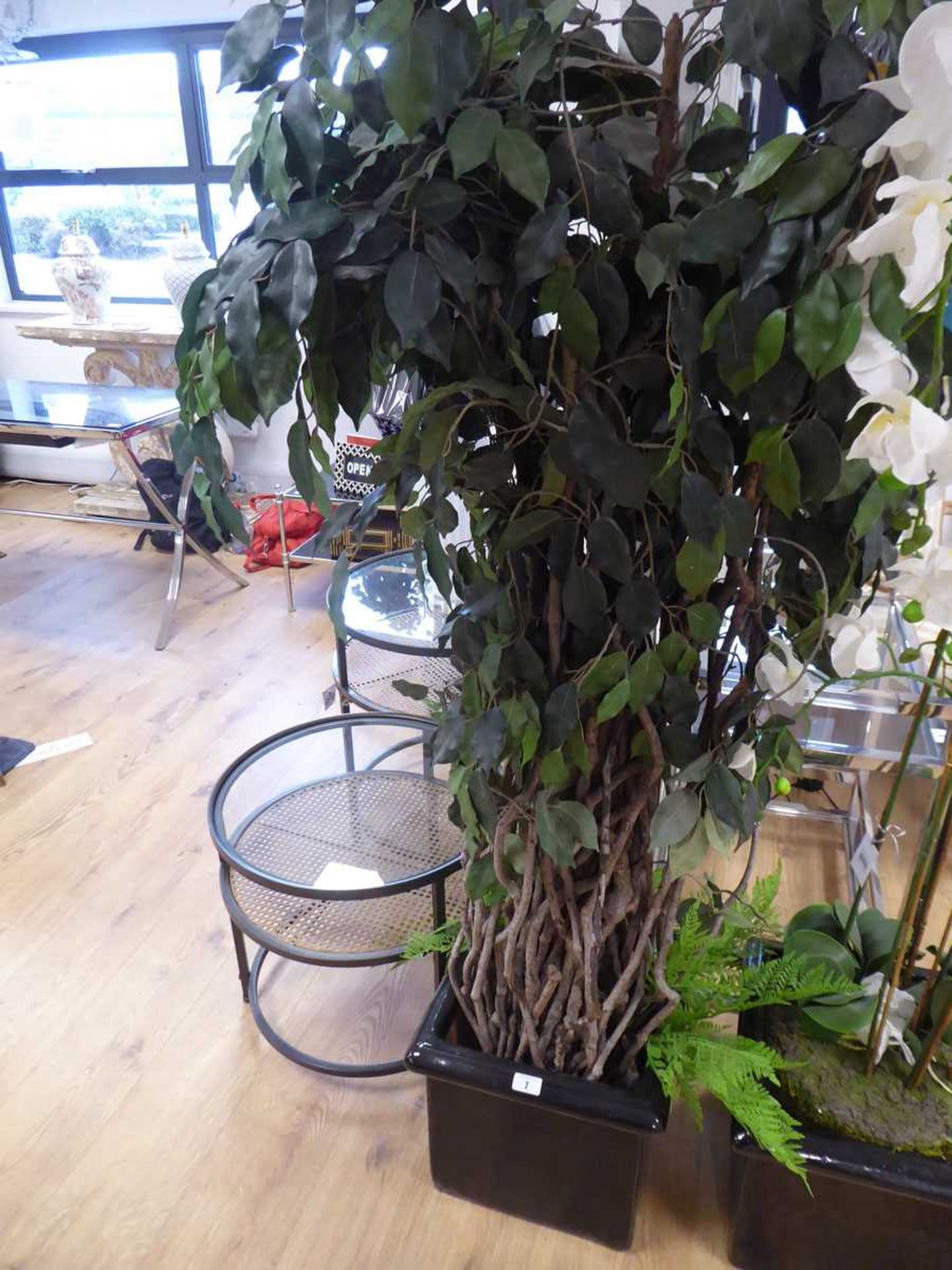 +VAT 3 large potted artificial weeping figs - 1 in black glazed planter