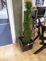 +VAT Pair of conical artificial conifers in black square glazed planters