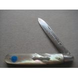 Rare Edwardian Mother of Pearl Hafted Silver Bladed Folding Fruit Knife