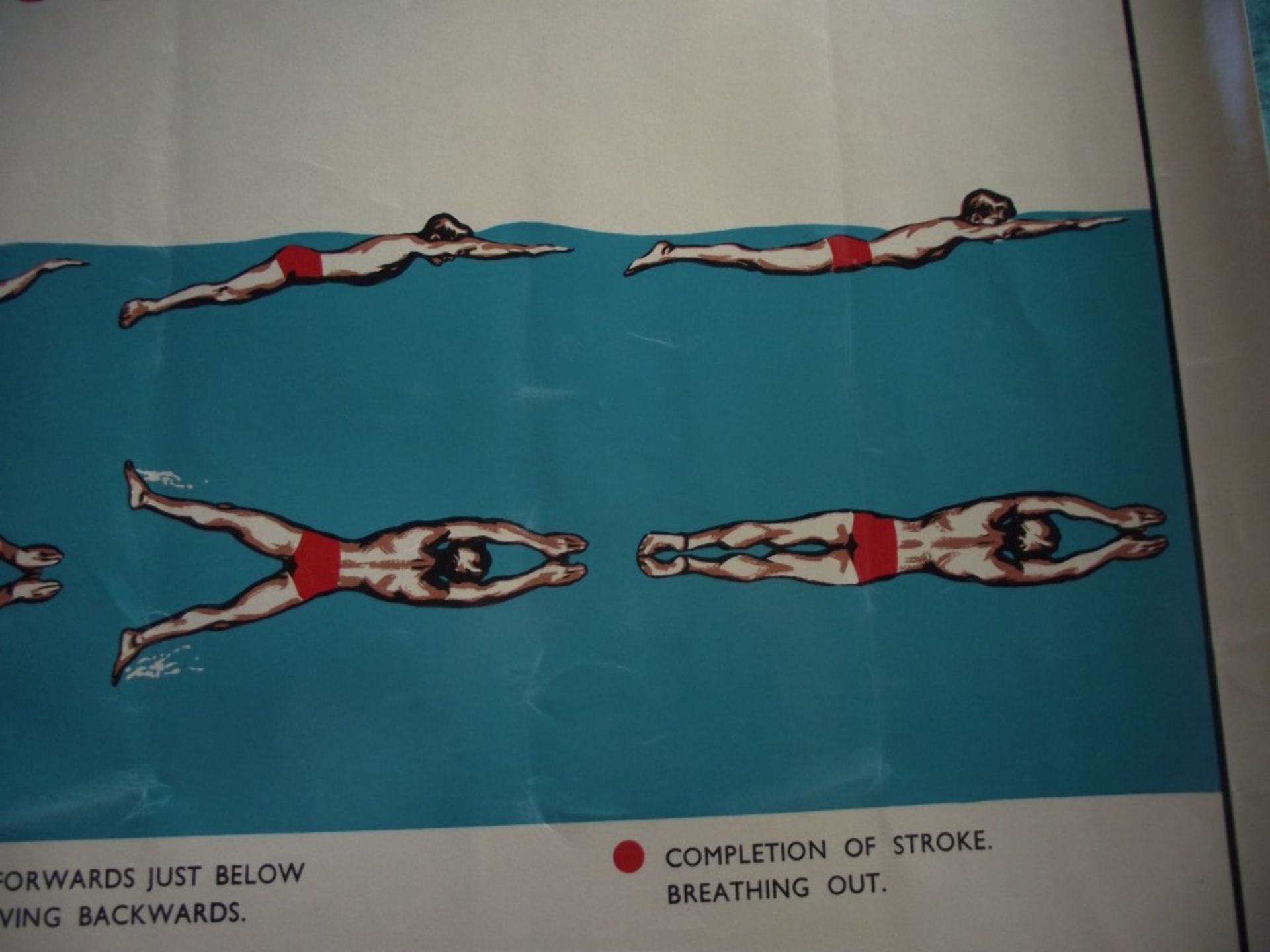 4 X 1950's Original 'Amateur Swimming Association' advertising posters, published by Bovril Ltd. - Image 25 of 51