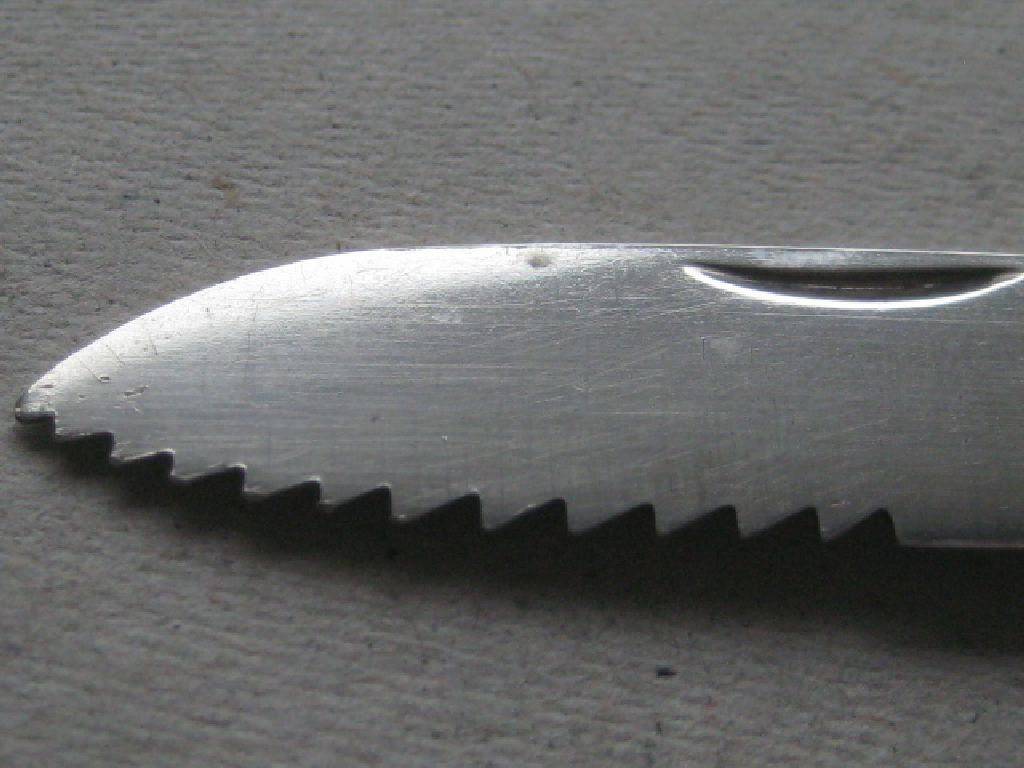 Rare Edwardian Saw Silver Bladed Folding Fruit Knife - Image 7 of 11