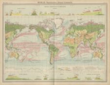 Antique John Bartholomew Map The World Vegetation and Ocean Currents