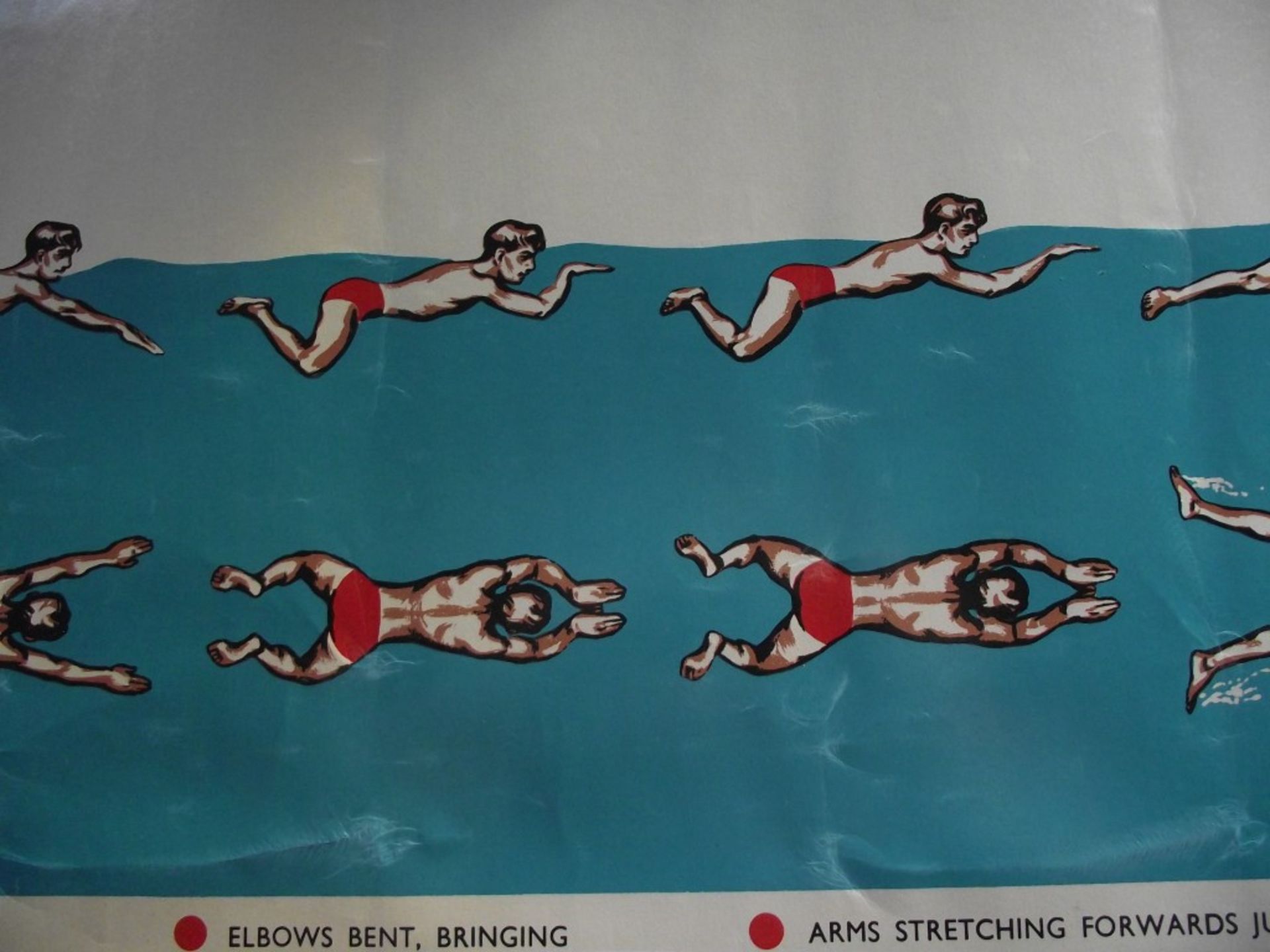 4 X 1950's Original 'Amateur Swimming Association' advertising posters, published by Bovril Ltd. - Image 24 of 51