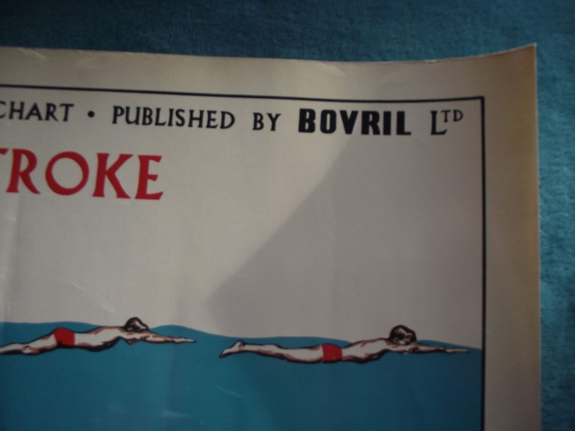 4 X 1950's Original 'Amateur Swimming Association' advertising posters, published by Bovril Ltd. - Image 18 of 51