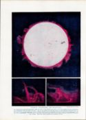 Sunspots Chromosphere Astronomy Antique Book Plate.