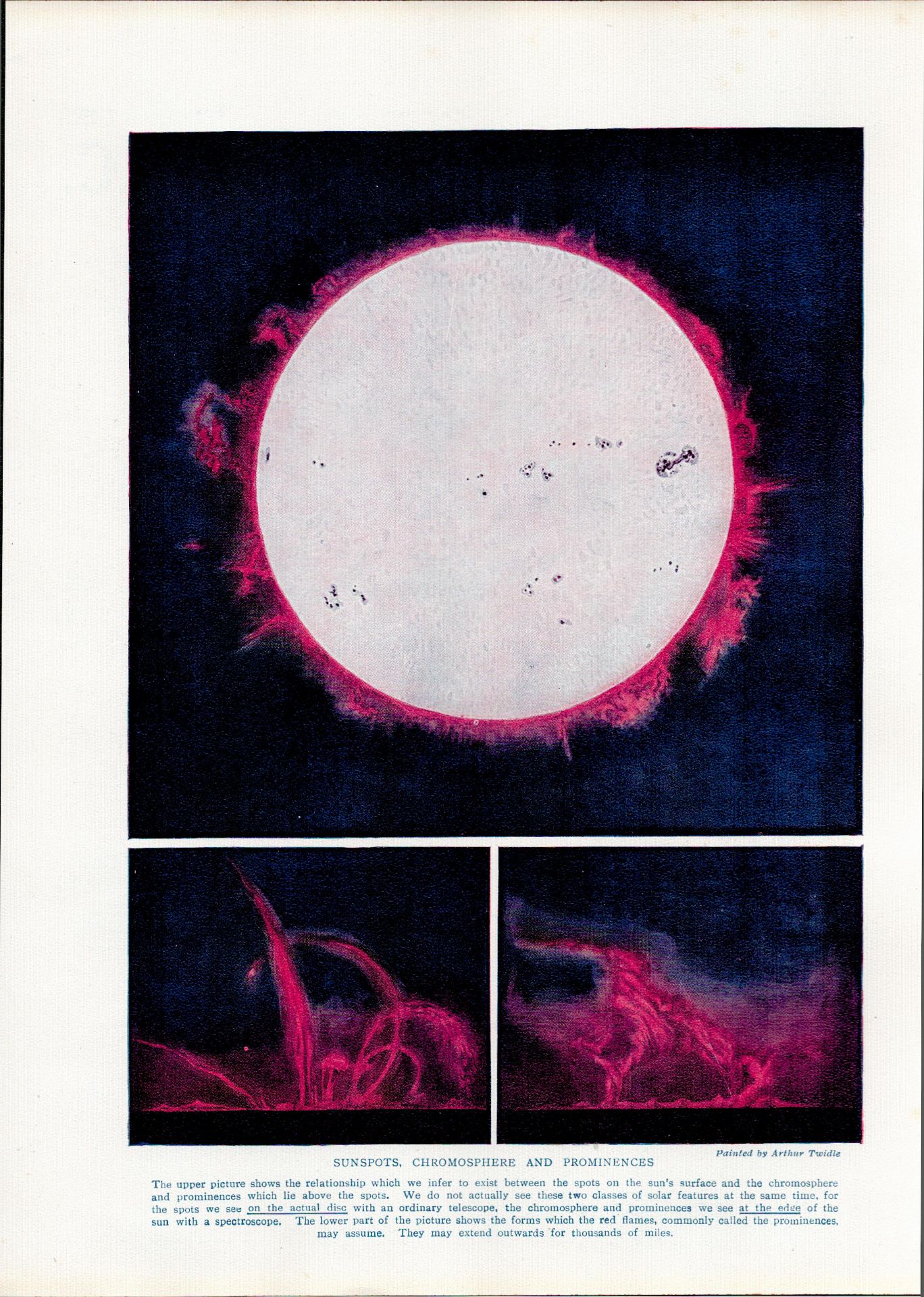 Sunspots Chromosphere Astronomy Antique Book Plate.