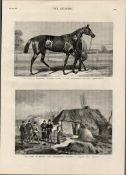 Inspecting a Farm Holding Limerick Ireland 1881 Antique Print.