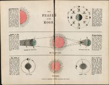 Rare James Reynolds Antique Astronomy Phases Of The Moon.