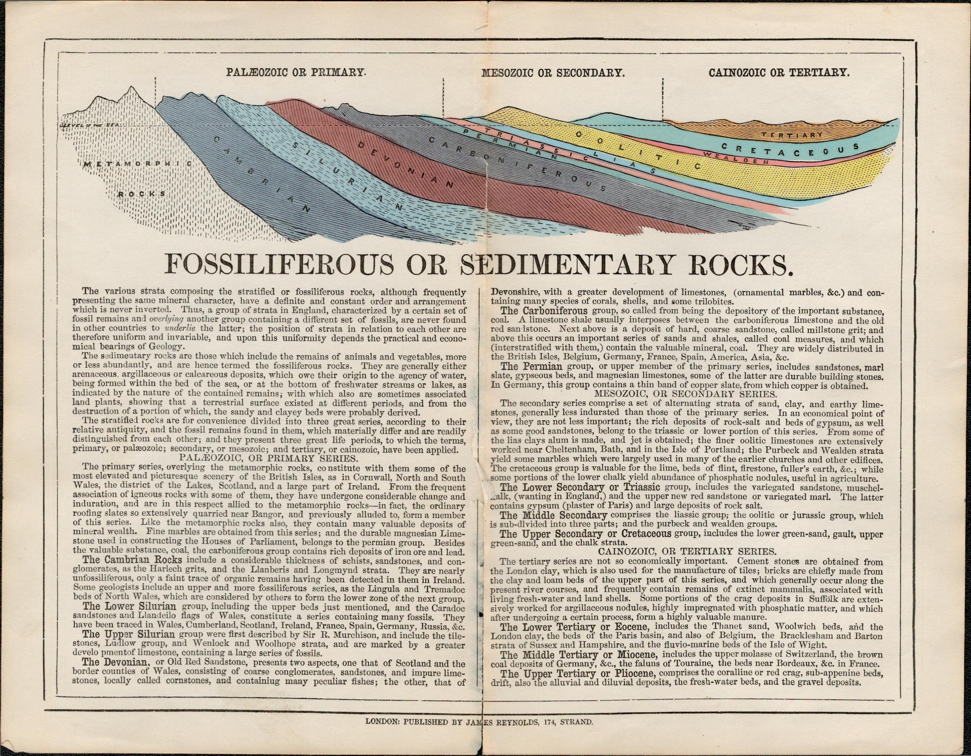 Rare James Reynolds Antique Fossiliferous Rocks Collection.