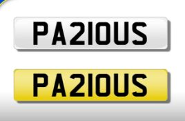 PA21 OUS Danger Dangerous Alert Shrewd Cunning Risk Private No Plate 786