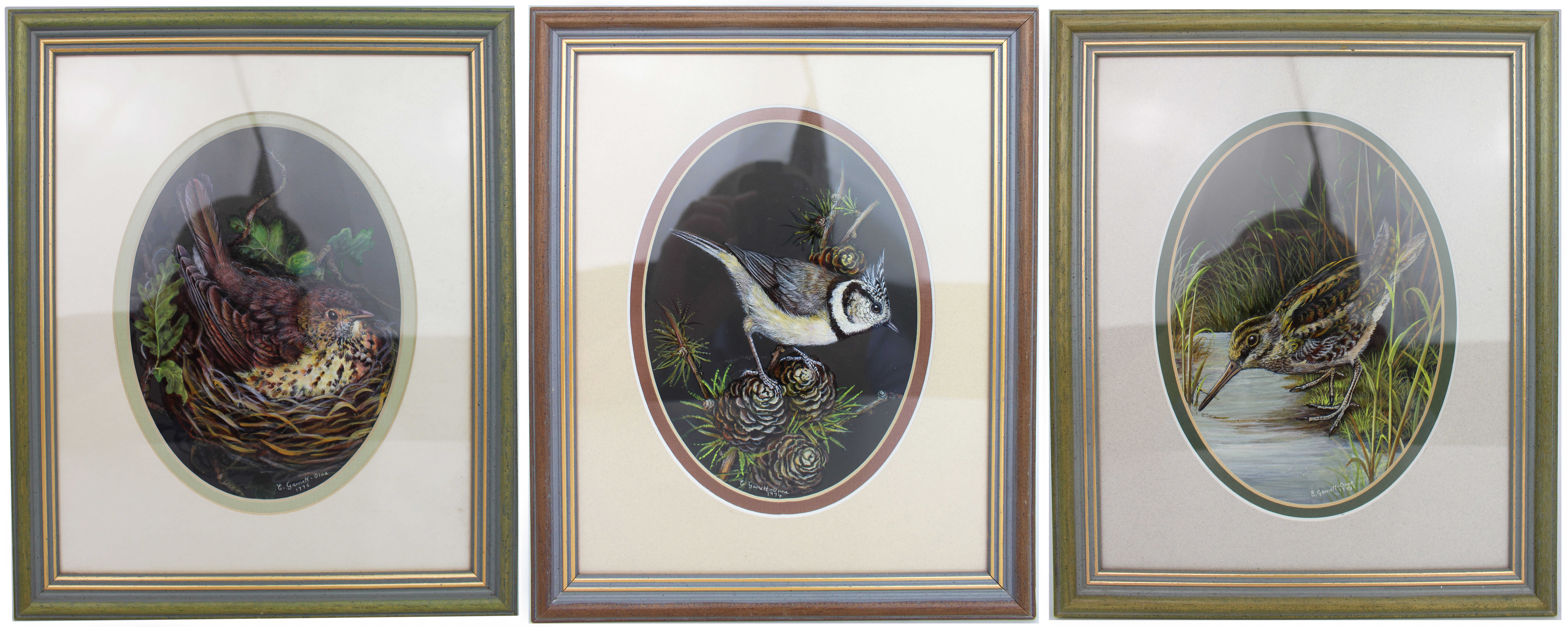 Group of 3 Fine Bird Paintings by Liz Garnett-Orme (British, Contemporary)