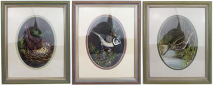 Group of 3 Fine Bird Paintings by Liz Garnett-Orme (British, Contemporary)