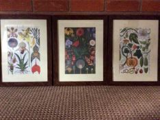 Botanical Set Framed Print Pictures