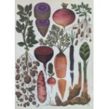 Beautiful Botanical English Prints Set In A Glazed Wooden Frame