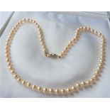 20 inch Single Strand Pearl Necklace with Gift Pouch