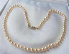 20 inch Single Strand Pearl Necklace with Gift Pouch