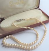 Vintage 17 inch Single Strand Rosita Pearl Necklace with Presentation Box