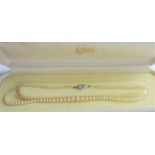 Single Row Lotus Pearl Necklace in Original Box