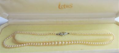 Single Row Lotus Pearl Necklace in Original Box
