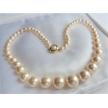 18.5 inch Single Row Graduated Pearl Necklace with Gift Pouch
