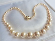 18.5 inch Single Row Graduated Pearl Necklace with Gift Pouch