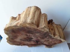Hardwood Timber Sawn English Yew Log Slice / Crosscut