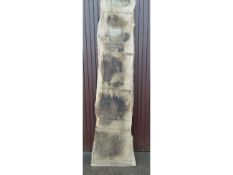 Hardwood Timber Air Dried Sawn Waney Edge / Live Edge English Oak Board / Slab
