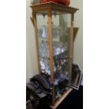 Modern Glazed Light Wood Display Cabinet