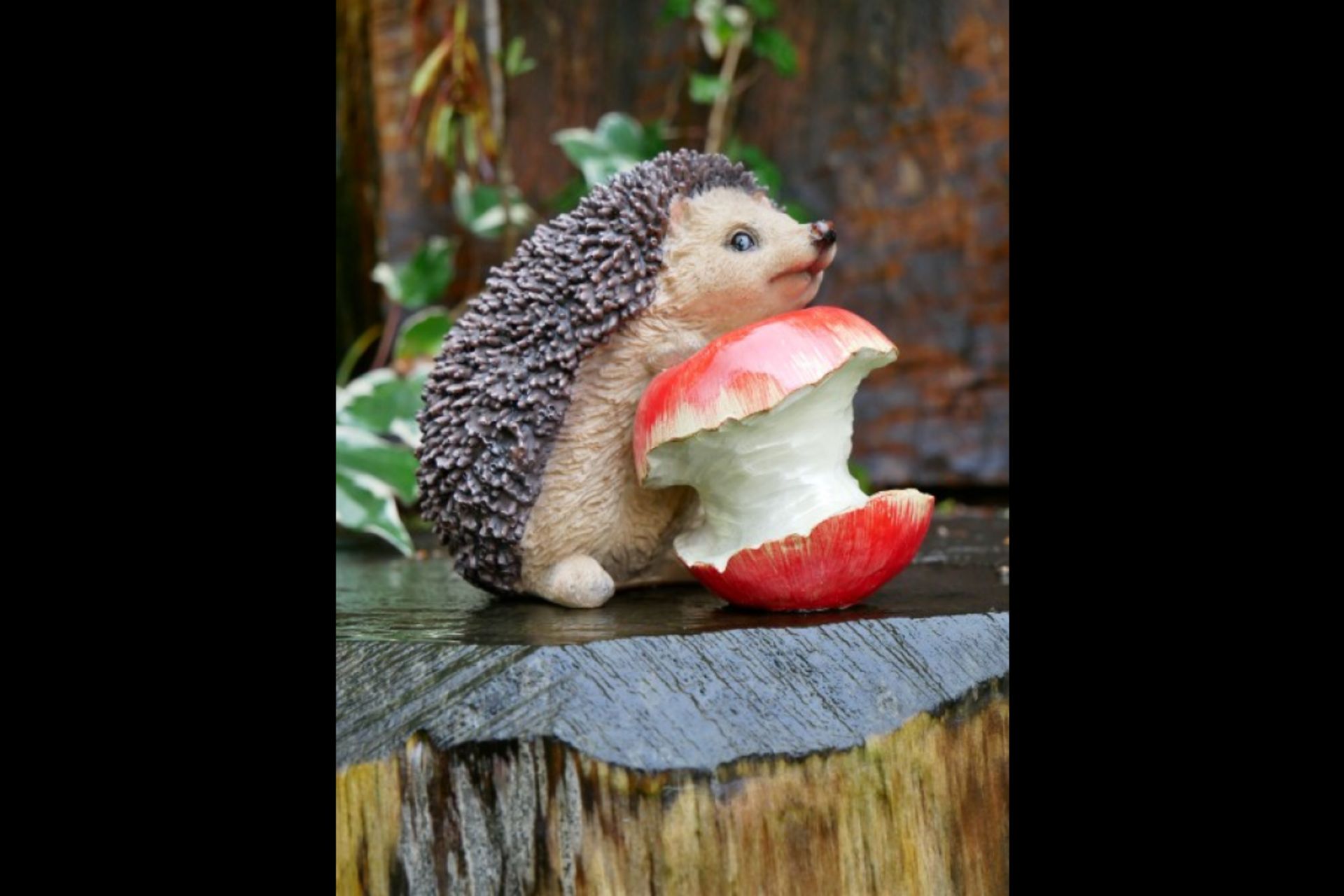 1x Hedgehog With Apple Home/Garden Ornament - Image 5 of 7