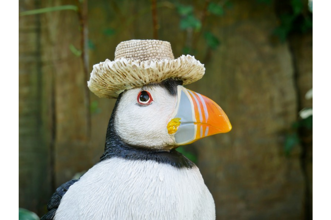 Puffin With Boots - Image 4 of 7