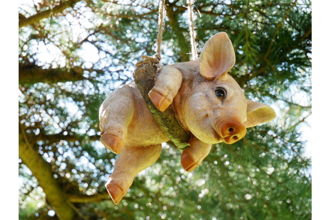 Hanging Piglet - Image 5 of 5