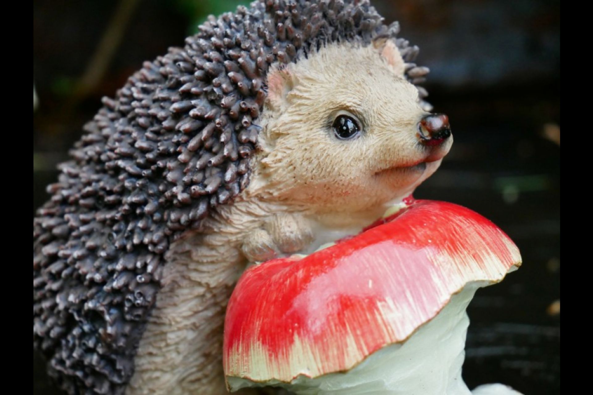 1x Hedgehog With Apple Home/Garden Ornament - Image 4 of 7