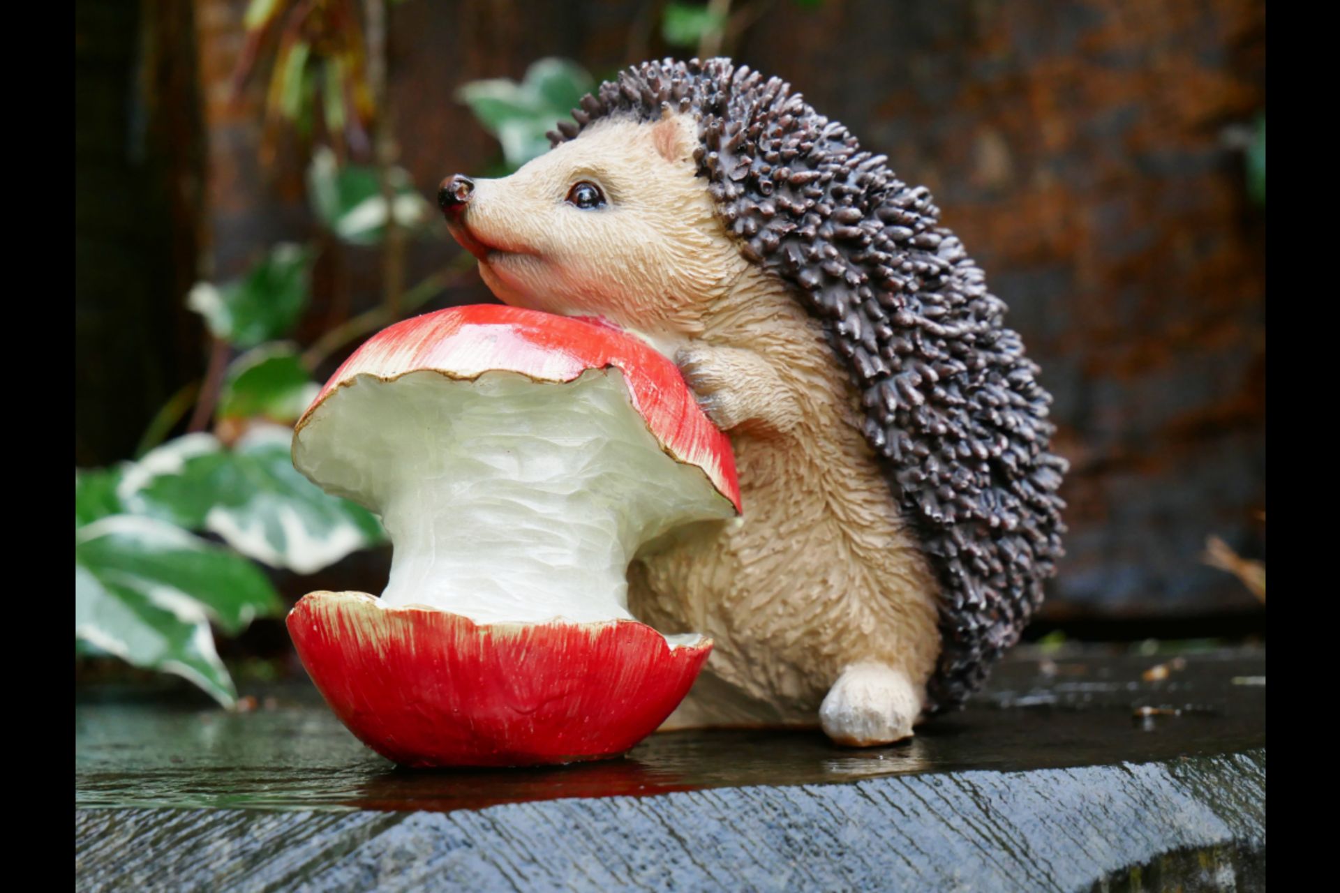 1x Hedgehog With Apple Home/Garden Ornament - Image 6 of 7