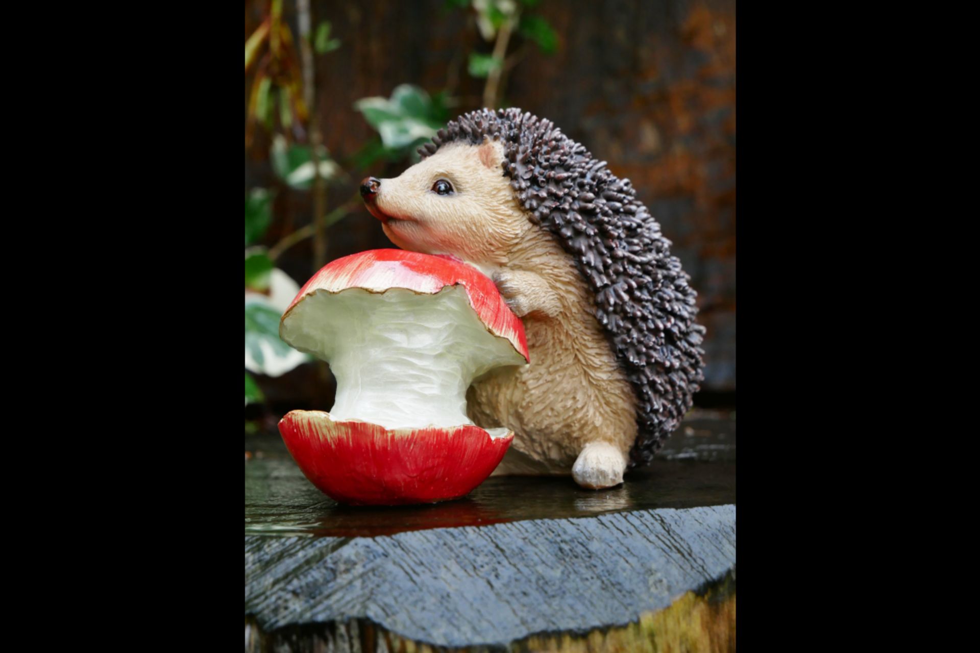 1x Hedgehog With Apple Home/Garden Ornament - Image 7 of 7