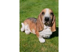 Large Basset Hound Home/Garden Ornament