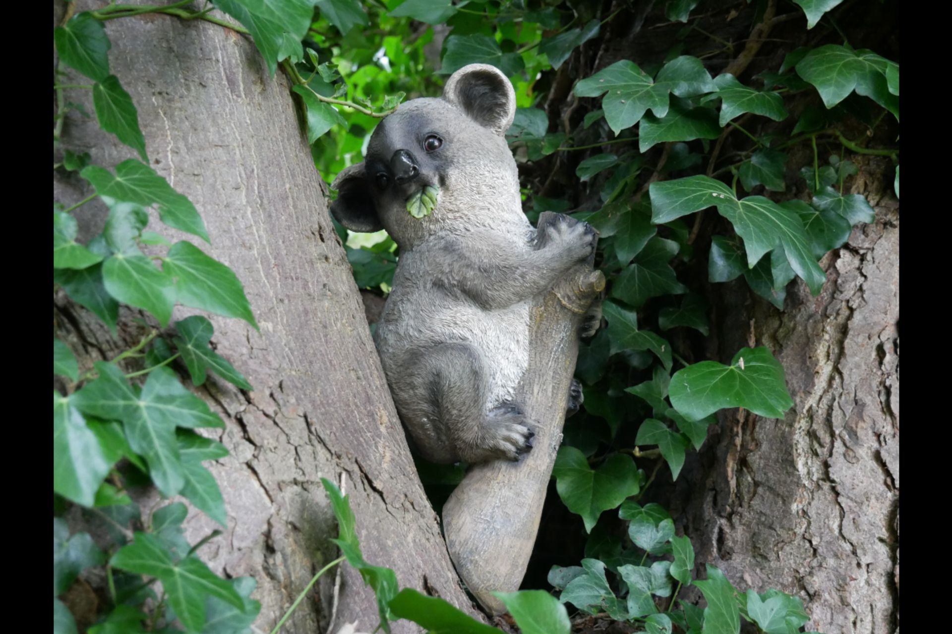 Koala Sitting on Branch Garden Ornament - Image 3 of 4